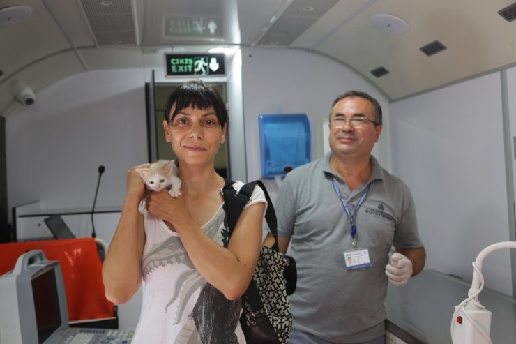 Maltepe’de VetBüs ile sokak hayvanları emin ellerde