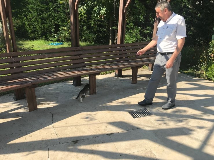 Cami cemaati kaybolan yavrular için seferber oldu