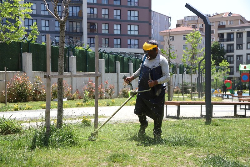 kartalin-parklari-yaza-hazirlaniyor-1-800x533.jpeg