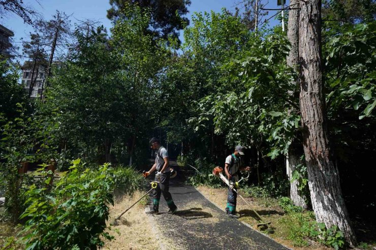 BEYLİKDÜZÜ BELEDİYESİ’NDEN 2024’TE YEŞİL ALAN VE ALTYAPI ATAĞI