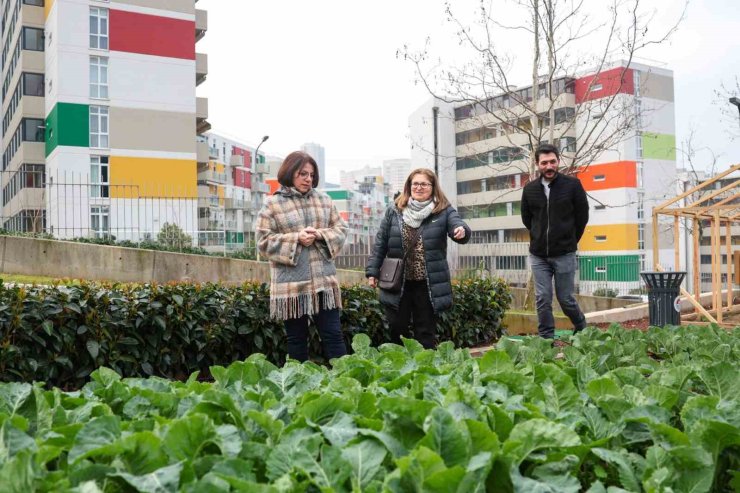 ÇOCUK TARIM PARKI HİZMETE AÇILMAYA HAZIRLANIYOR