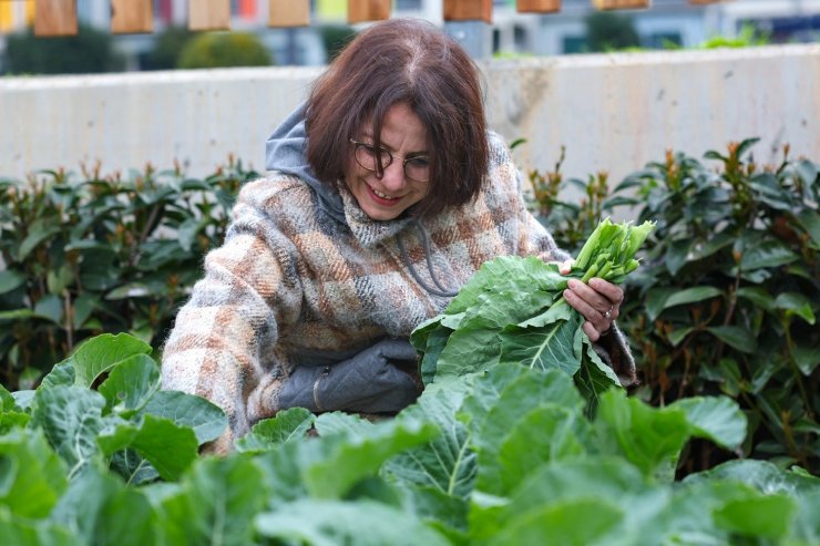 ÇOCUK TARIM PARKI HİZMETE AÇILMAYA HAZIRLANIYOR