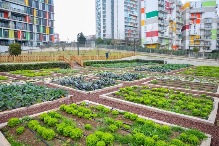 ÇOCUK TARIM PARKI HİZMETE AÇILMAYA HAZIRLANIYOR