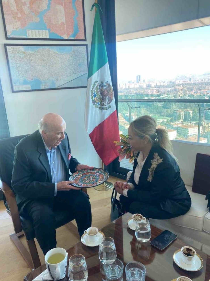 TÜRKİYE İLE MEKSİKA ARASINDA SAĞLIK TURİZMİNDE VE EKONOMİDE GÜÇLÜ İŞBİRLİĞİ