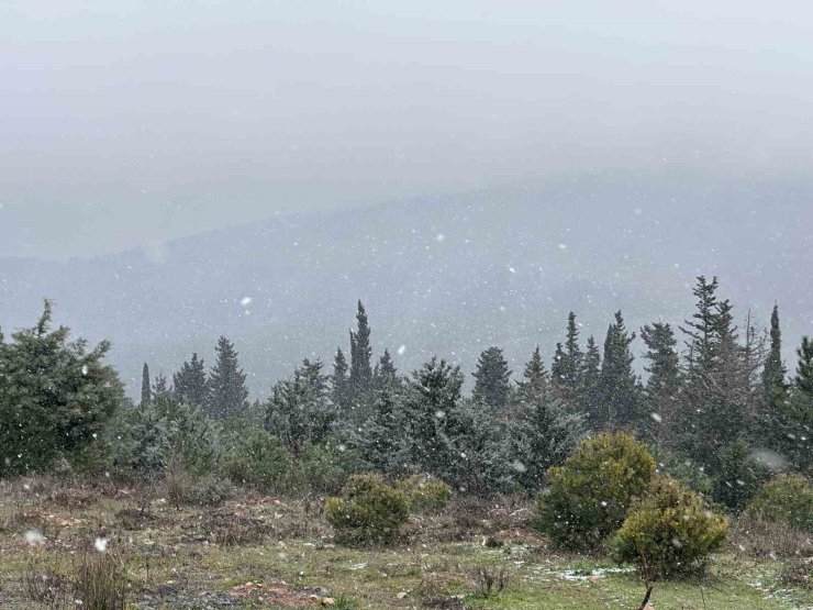 AYDOS ORMANI’NA LAPA LAPA YAĞAN KAR MASALSI GÖRÜNTÜLER OLUŞTURDU