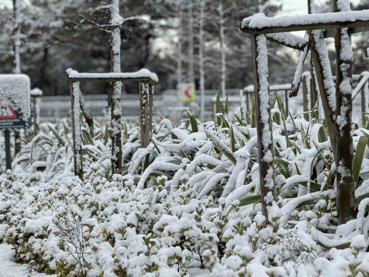 MEGAKENTTE KARTPOSTALLIK KAR GÖRÜNTÜLERİ
