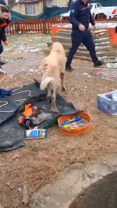 ÇATALCA’DA KUYUYA DÜŞEN KÖPEĞİ İTFAİYECİLER KURTARDI