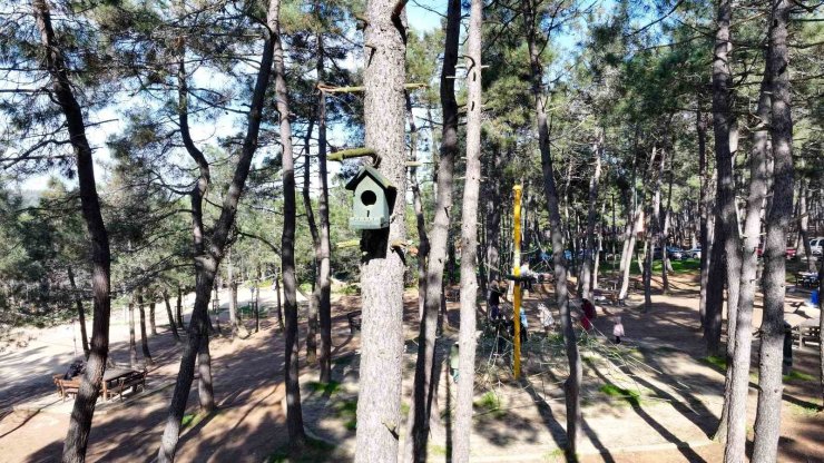 ÜMRANİYE’DE DOĞAYA EN GÜZEL KATKI: ‘KUŞ EVLERİ’