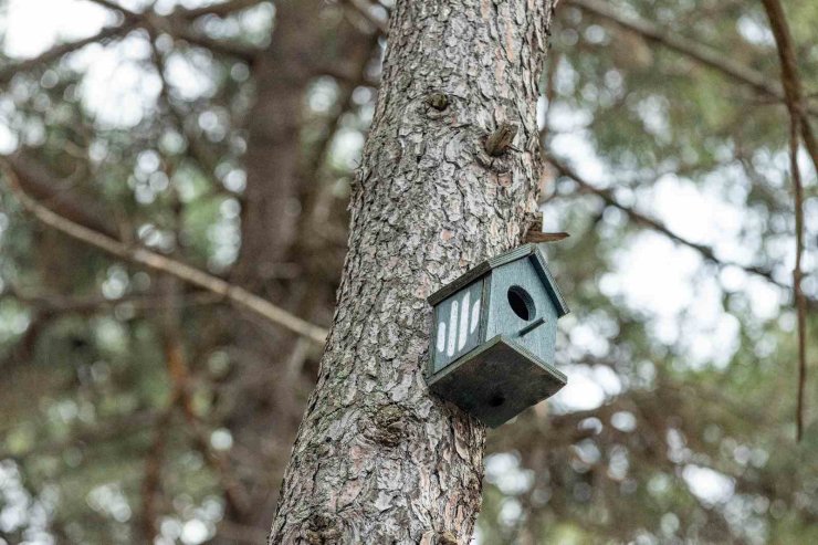 ÜMRANİYE’DE DOĞAYA EN GÜZEL KATKI: ‘KUŞ EVLERİ’