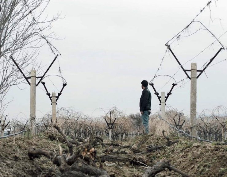 MALTEPE’DE ŞUBAT AYI KISA FİLMLERLE GEÇİYOR