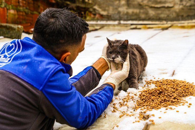 GAZİOSMANPAŞA BELEDİYESİ’NDEN SOKAK HAYVANLARI İÇİN MAMA DESTEĞİ