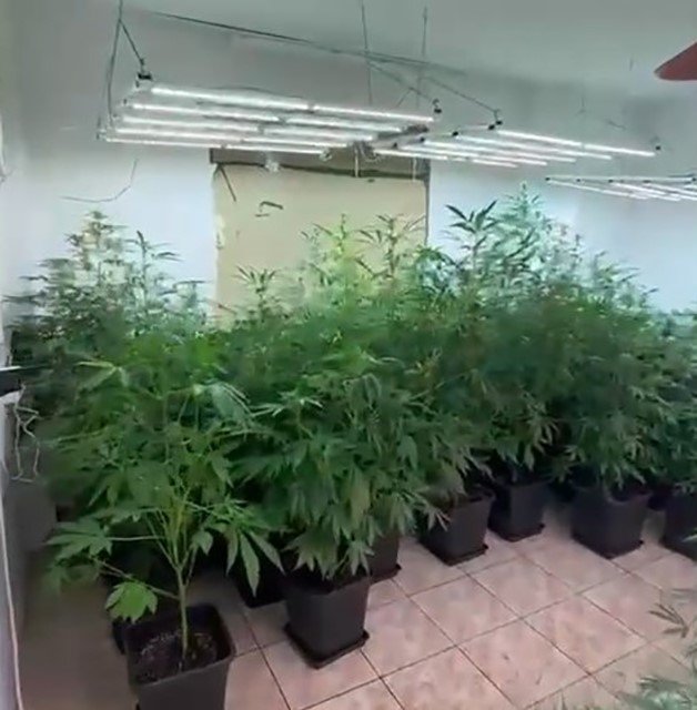 BEYKOZ’DA UYUŞTURUCU KOKUSU GELEN EVE OPERASYON: 2 KİŞİ YAKALANDI