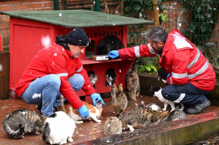 ŞİŞLİ’DE KARLA MÜCADELE ARALIKSIZ DEVAM EDİYOR