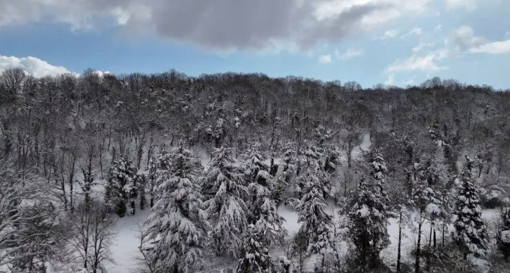 İSTANBUL’DA KAR YAĞIŞI ARALIKLARLA DEVAM EDİYOR