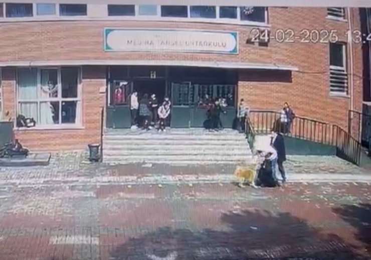 ÜMRANİYE’DE OKUL BAHÇESİNDE KÖPEK DEHŞETİ: 5 ÖĞRENCİYİ ISIRDI