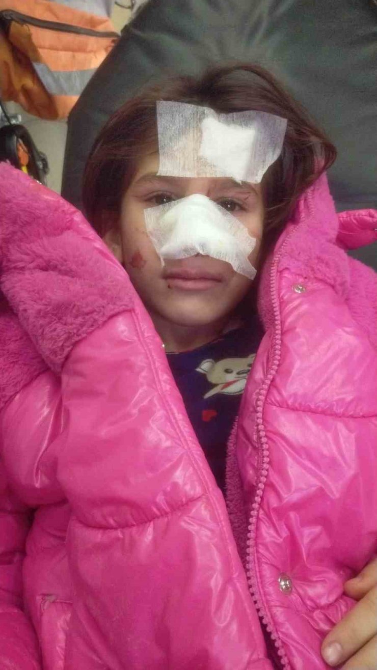 ÜMRANİYE’DE OKUL BAHÇESİNDE KÖPEK DEHŞETİ: 5 ÖĞRENCİYİ ISIRDI