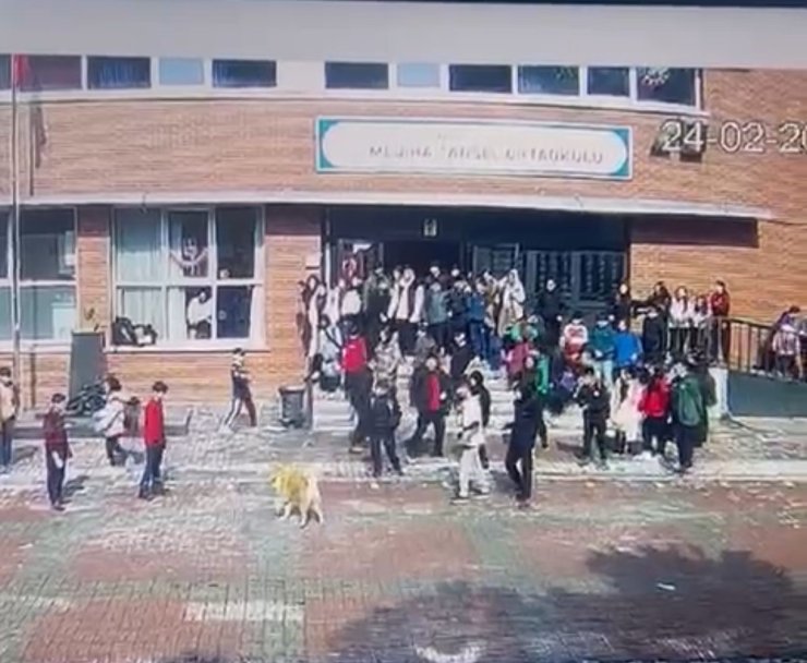 ÜMRANİYE’DE OKUL BAHÇESİNDE KÖPEK DEHŞETİ: 5 ÖĞRENCİYİ ISIRDI