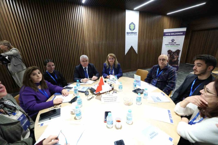 BAKIRKÖY BELEDİYESİ "SOKAK HAYVANLARI ÇALIŞTAYI" DÜZENLEDİ