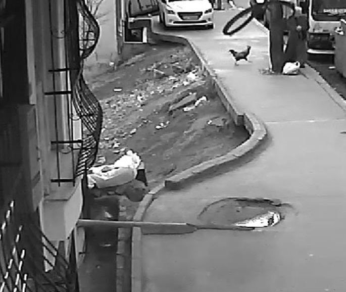 HOROZUN SALDIRDIĞI KADIN DEFALARCA YERE DÜŞTÜ, AYAĞA KALKINCA O DA HOROZA SALDIRDI