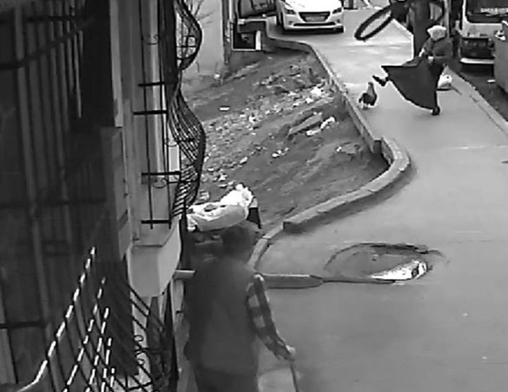 HOROZUN SALDIRDIĞI KADIN DEFALARCA YERE DÜŞTÜ, AYAĞA KALKINCA O DA HOROZA SALDIRDI