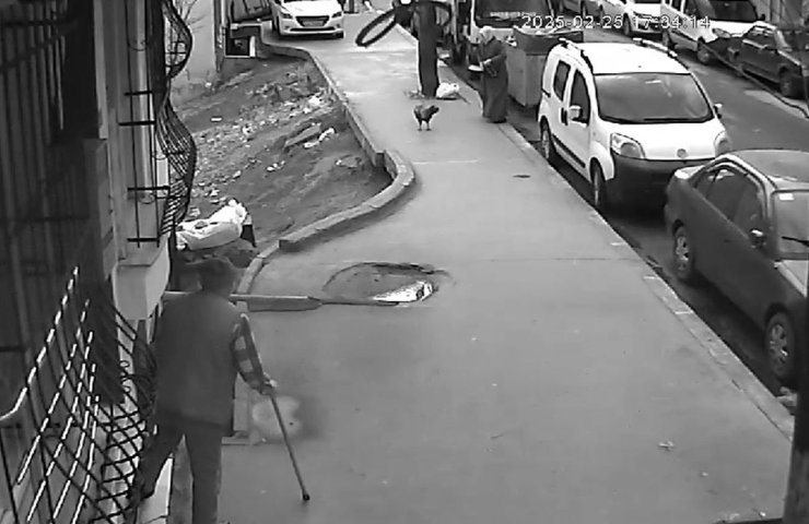 HOROZUN SALDIRDIĞI KADIN DEFALARCA YERE DÜŞTÜ, AYAĞA KALKINCA O DA HOROZA SALDIRDI