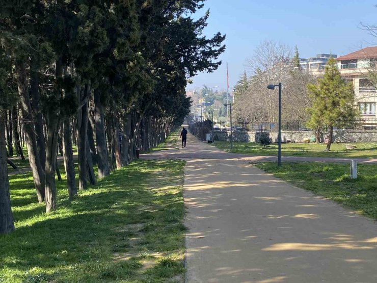 FLORYA ATATÜRK ORMANI’NDA BAŞI BOŞ KÖPEKLER VATANDAŞLARI TEDİRGİN EDİYOR