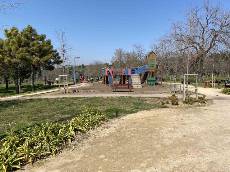 FLORYA ATATÜRK ORMANI’NDA BAŞI BOŞ KÖPEKLER VATANDAŞLARI TEDİRGİN EDİYOR