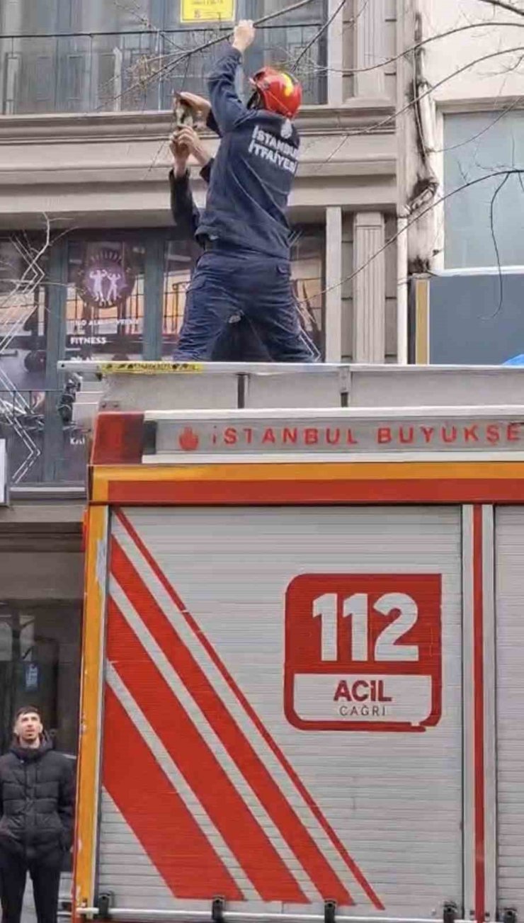 KAĞITHANE’DE AĞAÇTA MAHSUR KALAN KUŞU İTFAİYE KURTARDI