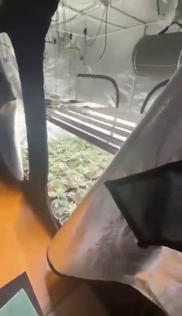 SULTANBEYLİ’DE UYUŞTURUCU OPERASYONU: EVİ SERAYA DÖNÜŞTÜRMÜŞLER