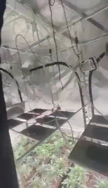 SULTANBEYLİ’DE UYUŞTURUCU OPERASYONU: EVİ SERAYA DÖNÜŞTÜRMÜŞLER