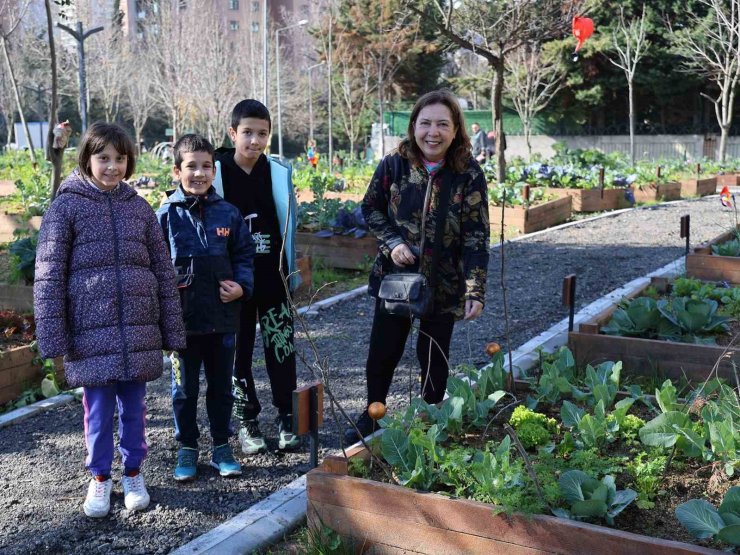 ’KENT BOSTANLARI’ ATAŞEHİR’DE YAYILIYOR