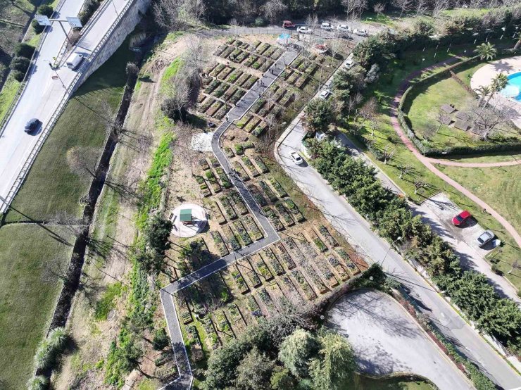 ’KENT BOSTANLARI’ ATAŞEHİR’DE YAYILIYOR