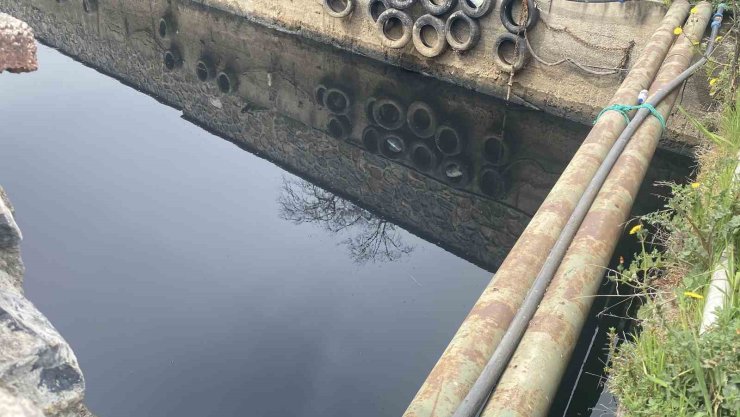 KARTAL’DA DENİZE DÖKÜLEN ATIK SU ÇEVREYE KÖTÜ KOKU YAYDI