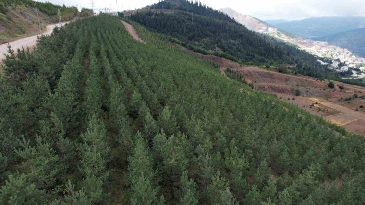 CENGİZ HOLDİNG’İN SANAYİ ŞİRKETLERİ ‘SIFIR ATIK’ VİZYONUYLA, GERİ DÖNÜŞÜME DESTEK VERDİ