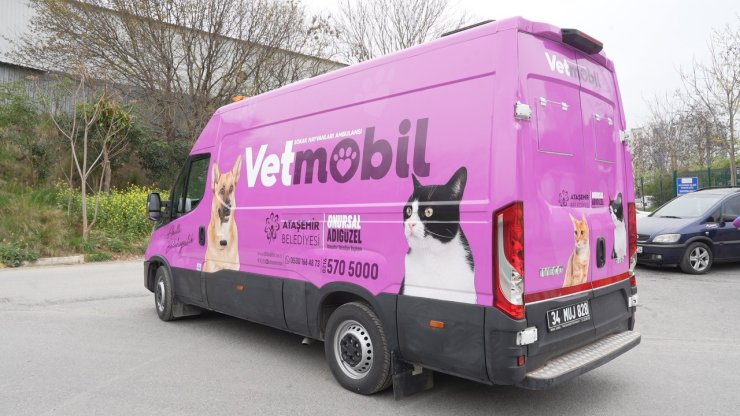 ATAŞEHİR BELEDİYESİ, YENİ HAYVAN AMBULANSI "VETMOBİL"İ HİZMETE SUNUYOR