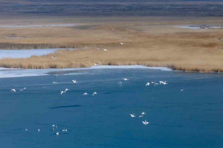 ARAL KÜLTÜR ZİRVESİ SEMERKANT’TA GERÇEKLEŞTİRİLECEK