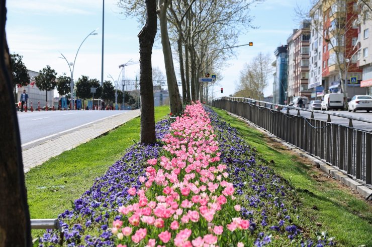 SULTANGAZİ’NİN CADDE VE SOKAKLARINA BAHAR GELDİ