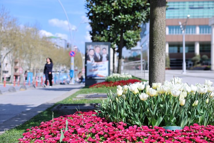 SULTANGAZİ’NİN CADDE VE SOKAKLARINA BAHAR GELDİ