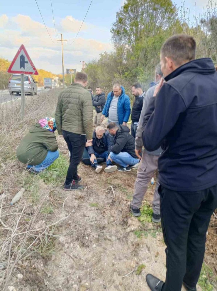 ÇATALCA’DA ARAÇ AĞACA SAPLANDI: 1 YARALI