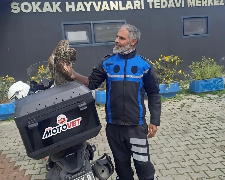 FATİH BELEDİYESİ’NDEN DOĞAYA CAN: MOTOVET EKİBİ YARALI KANATLILARI HAYATA KAZANDIRIYOR
