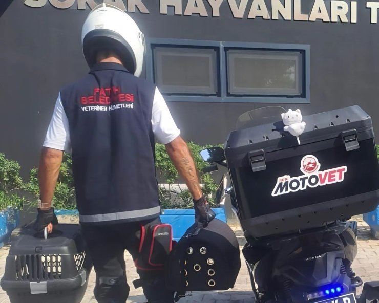FATİH BELEDİYESİ’NDEN DOĞAYA CAN: MOTOVET EKİBİ YARALI KANATLILARI HAYATA KAZANDIRIYOR