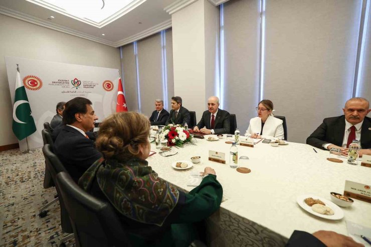 TBMM BAŞKANI NUMAN KURTULMUŞ, İSTANBUL’DA PAKİSTAN ULUSAL MECLİS BAŞKANI SADIK İLE GÖRÜŞTÜ