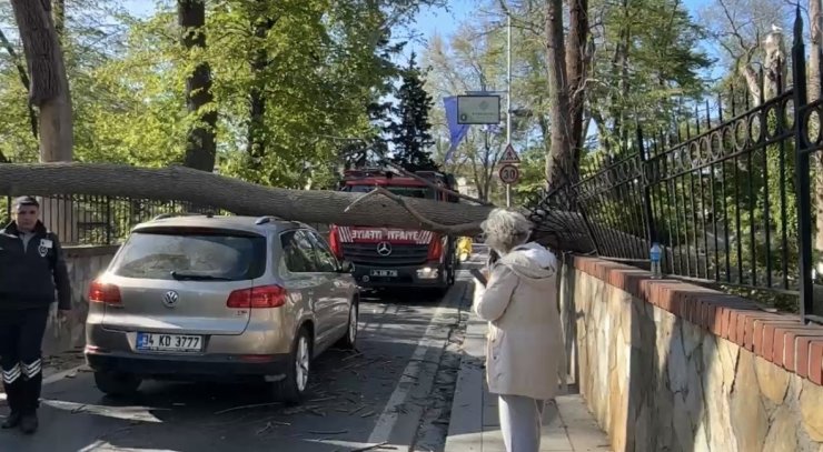 SARIYER’DE ŞİDDETLİ RÜZGARDA AĞAÇ OTOMOBİLİN ÜZERİNE DEVRİLDİ