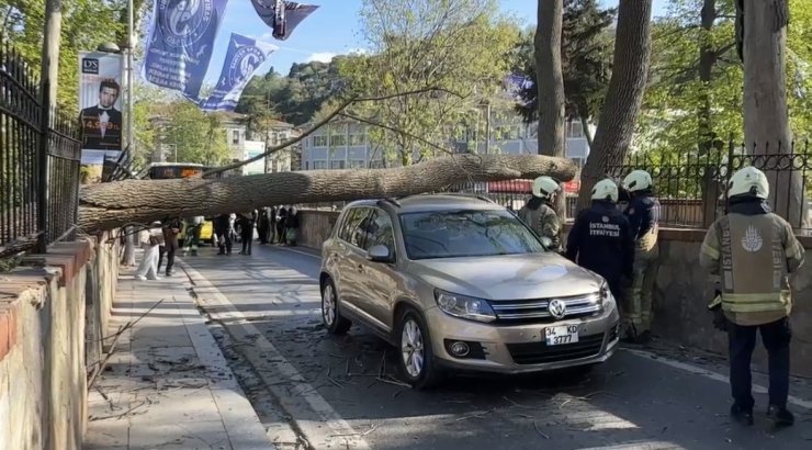 SARIYER’DE ŞİDDETLİ RÜZGARDA AĞAÇ OTOMOBİLİN ÜZERİNE DEVRİLDİ