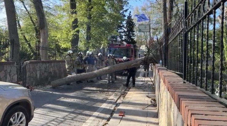 SARIYER’DE ŞİDDETLİ RÜZGARDA AĞAÇ OTOMOBİLİN ÜZERİNE DEVRİLDİ