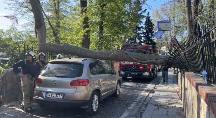 SARIYER’DE ŞİDDETLİ RÜZGARDA AĞAÇ OTOMOBİLİN ÜZERİNE DEVRİLDİ