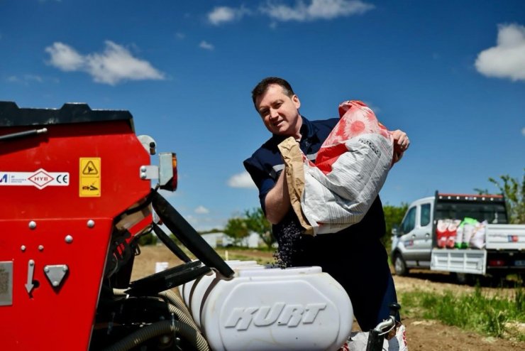 SİLİVRİ BELEDİYESİ, İLK KEZ 10 DÖNÜM NOHUT VE FASULYE EKİMİ GERÇEKLEŞTİRDİ