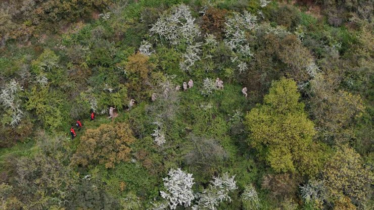 SULTANGAZİ’DE KAYBOLAN İSHAK ÖZTÜRK’Ü ARAMA ÇALIŞMALARI HAVADAN GÖRÜNTÜLENDİ