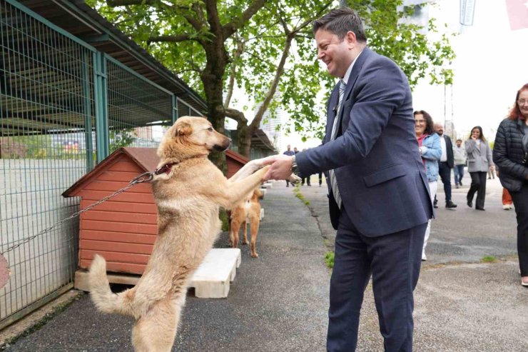 KADIKÖY BELEDİYESİ GEÇİCİ HAYVAN BAKIMEVİ YENİLENDİ