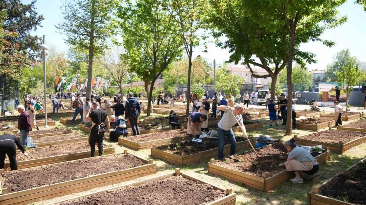 KADIKÖY BOSTANLARI’NDA YAZ DÖNEMİ BAŞLADI